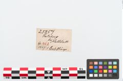 Etiketten zu Bronzegefäßhenkel (NHMW-PRAE-025057)